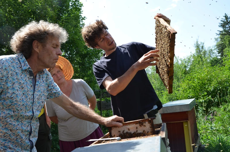 „Mit den Bienen durchs Jahr“  – Mehr als nur ein Imkerkurs im Altenburger Land | Imkerkurs Mellifera