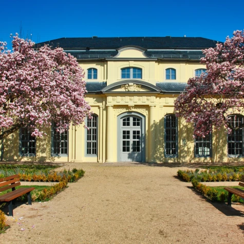 VorschauBild - Fotoausstellung „Die 1000-Jahrfeier in Altenburg“