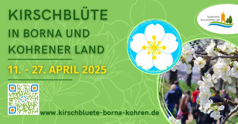 Kirschblüte 2025 in Borna und Kohrener Land: Ein Fest für alle Sinne | 