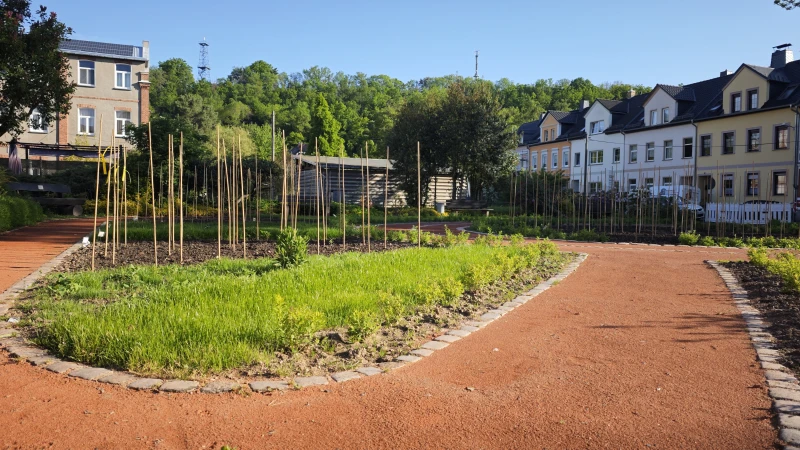 Dahliengarten Schmölln nach Umbau bereit für neue Saison | Dahliengarten in Schmölln