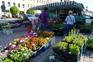 Kreativ‑ und Blumenmarkt lädt zum Frühlingsbummel nach Schmölln ein
