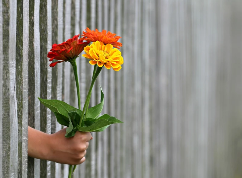 DGB lädt am 8. März zu Frauenstammtisch und gratuliert Beschäftigten im Einzelhandel im Landkreis mit Blumen | 
