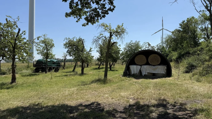 VorschauBild - Ehemalige Kohletiefbaufläche in Neubraunshain als Streuobstwiese hergerichtet