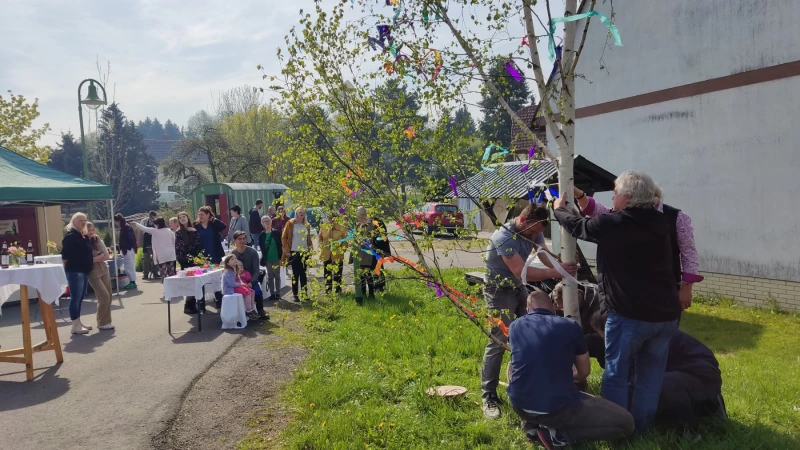Bunte Bänder für die Maibaumkrone in Zürchau | Das Dorf ist dabei. Maibaumsetzen in Zürchau.