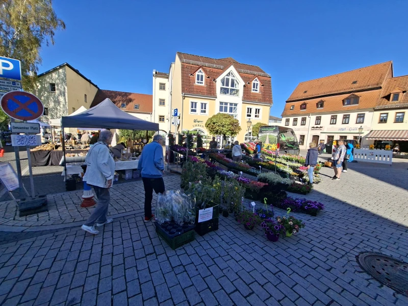 Blumenmarkt in Schmölln begeistert mit großem Besucherandrang und bester Stimmung | Blumenmarkt in Schmölln 2026