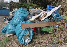 Viele helfende Hände für ein sauberes Rositz – Tag der Umwelt 2026