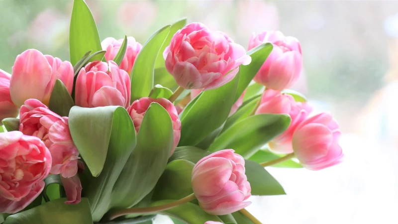 Frauentag – (k)ein Grund zum Feiern? | 