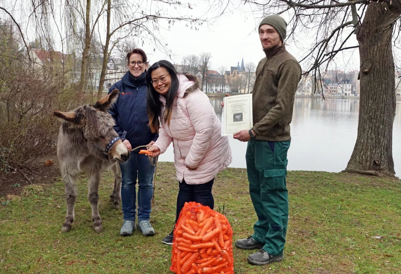 Eine Karotte für Lotte - Landhandel erneuert Patenschaft für Altenburger Zwergeselin | Saskia Gräfe (links) und Phornphan Geier (beide Schmöllner Landhandelsgesellschaft) brachten ihrem Patentier Futter mit. Tierpfleger Vinzenz Schmid übergab den Patenbrief.