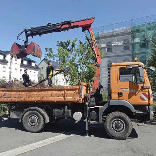 Aufladen und Transportsicherung je Baum