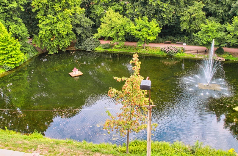 Im Pauritzer Teich wird das Wasser abgelassen | Blick auf den Pauritzer Teich