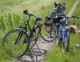 Radtour am 29.08.2026: Nach Löbichau und Nöbdenitz
