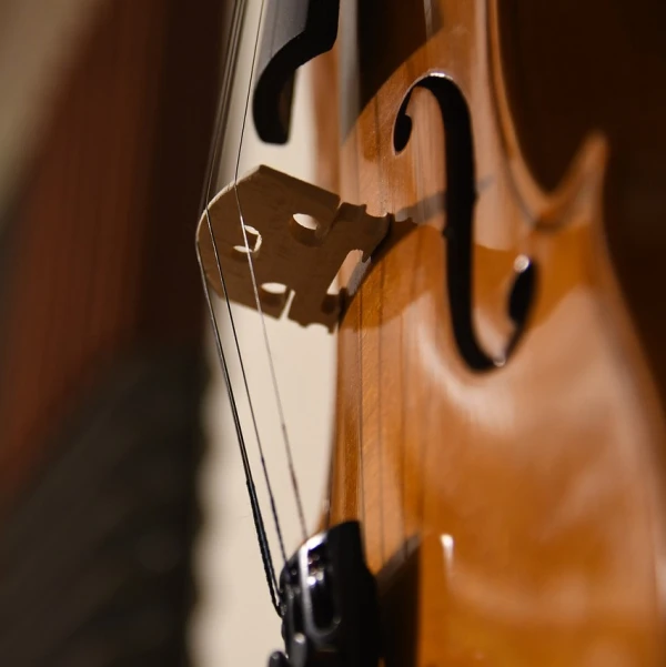 Musik in den Häusern