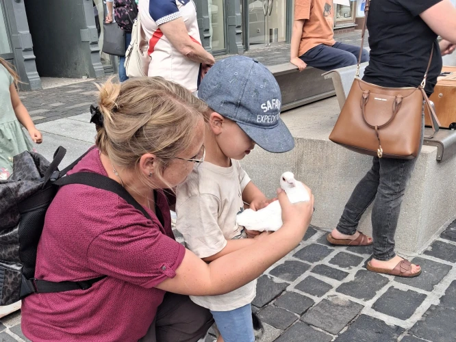 VorschauBild - Weltfriedenstag in Altenburg: Kinder setzen Zeichen für Frieden und Verständigung