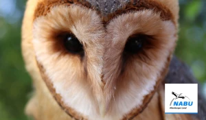 Schmölln: Ein Abend nicht nur für Nachteulen