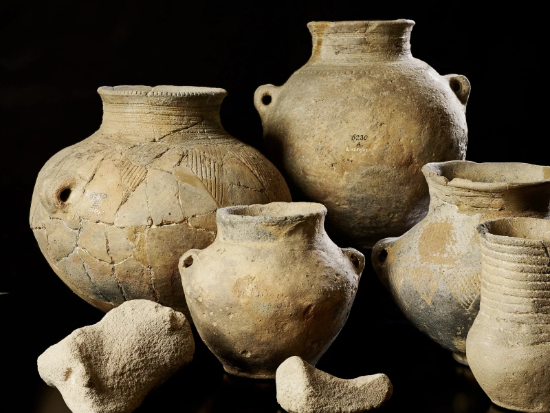 Aus dem Dunkel der Vorzeit – Altenburgs prähistorische Sammlung in neuem Licht | Funde aus einem schnurkeramischen Grabhügel im Luckaer Forst