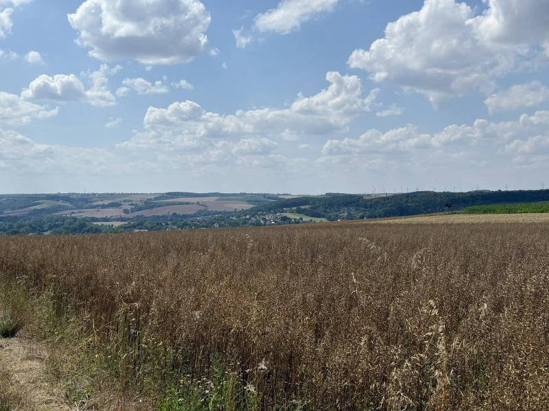 Wanderung mit dem Deutschen Alpenverein, Sektion Altenburg e.V. am 21.03.2026 | 