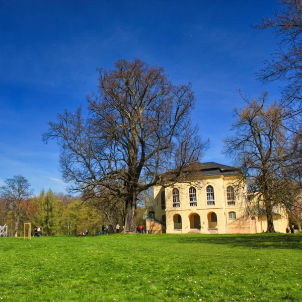 Altenburger Welttanztag 20