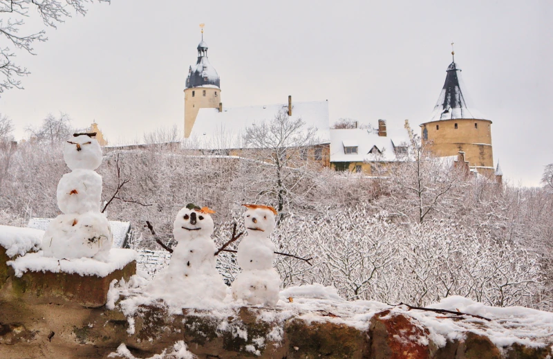 Sachsens First Lady des 15. Jahrhunderts – Kurfürstin Margaretha von Österreich | Blick auf der winterliche Residenzschloss in Altenburg