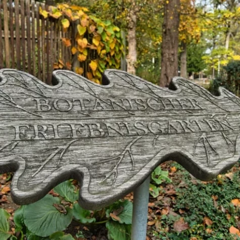 VorschauBild - Pflanzen- und Kreativmarkt