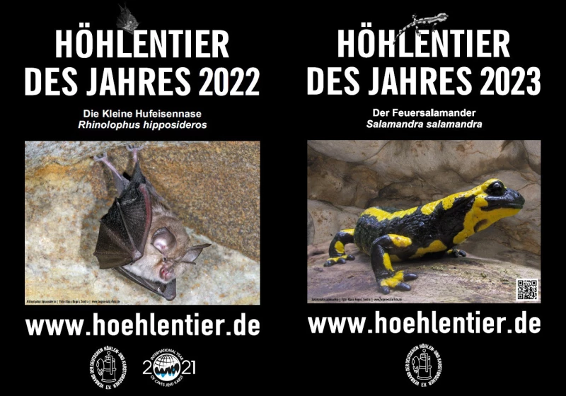 Gewinnspiel für Kita-Gruppen und Schulklassen: Bastelt die schönsten Höhlentiere! | Die Poster wurden uns vom Verband der deutschen Höhlen- und Karstforscher e.V. (https://www.vdhk.de) zur Verfügung gestellt.
