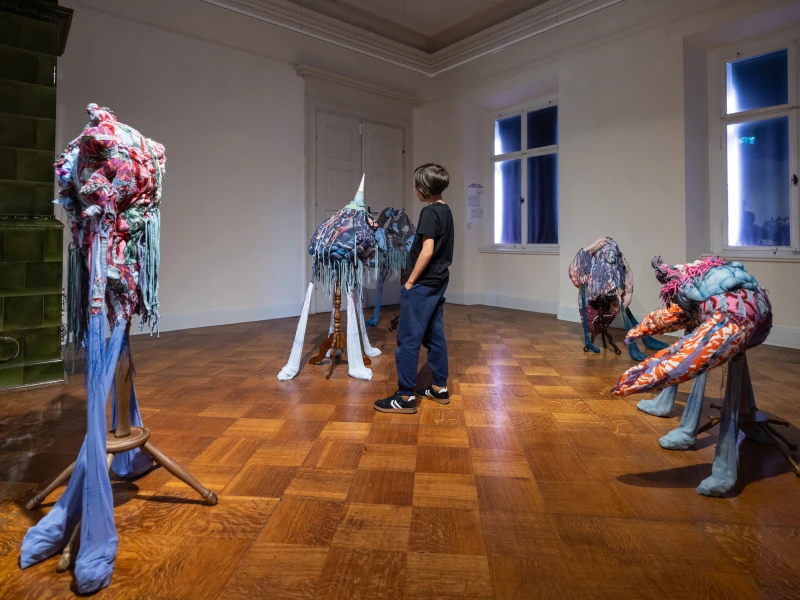 Neuer Veranstaltungskalender der Altenburger Museen für den Zeitraum von Oktober 2026 bis Januar 2027 erschienen | Ausstellungsansicht „Lindenau-Förderpreis 2026“ (hier mit Arbeiten der Künstlerin Annelene Schreikrampf), Lindenau-Museum Altenburg, 2026