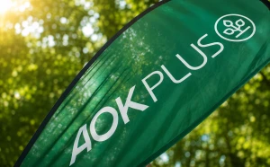AOK PLUS-Bericht: Thüringer Beschäftigte im ersten Halbjahr seltener krankgeschrieben