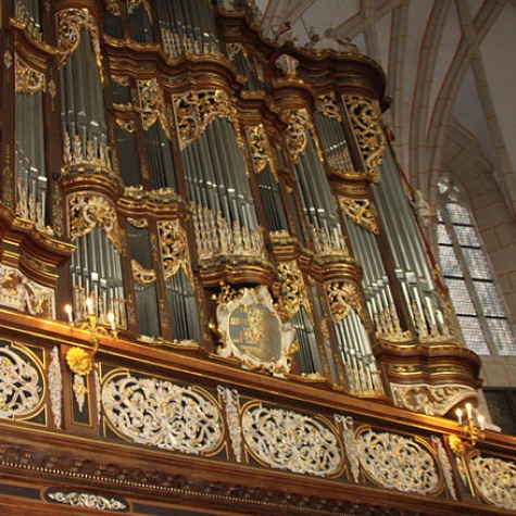 VorschauBild - Altenburger Orgelnacht