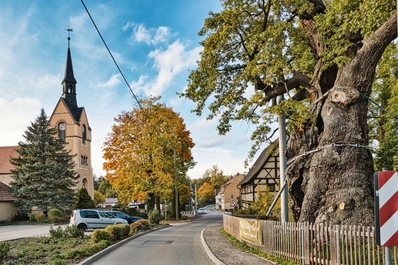 Love & Peace in Nöbdenitz: Auge um Auge | 1000jährige Eiche und Kirche in Nöbdenitz