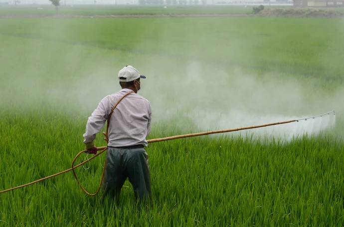 VorschauBild - Parkinson-Risiko durch Pestizide für „grüne Jobs“ im Altenburger Land
