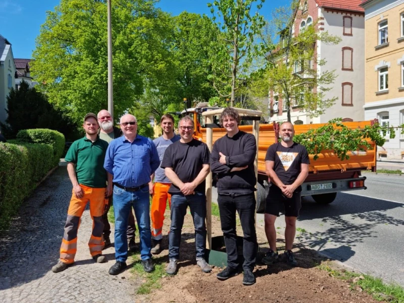 Münsaer Straße wird grüner: Neue Winterlinden gepflanzt | Die Baumpaten und die Mitarbeiter des Fachdienstes Grünanlagen und Stadtwald stehen vor einer der gepflanzten Winterlinden (von links): Michael Heß (Fachdienst), Ralf Thalheim (Fachdienst), Jens Haubold (Stadtforum), Paul Enge (Fachdienst), Lutz Woitke (Hausgemeinschaft), Johannes Schaefer (Stadtforum) und Lars Böhme (Fachdienst).