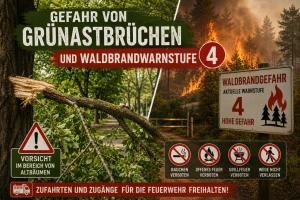 Trockenheit setzt Gehölzen zu: Gefahr von Grünastbrüchen in Altenburg