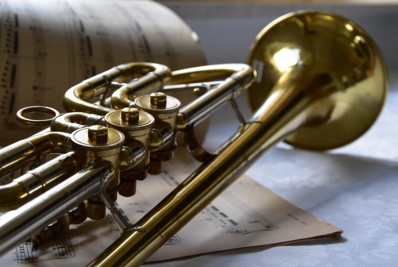 Das Blasorchester Altenburg sucht ehemalige Musiker zum Jubiläum | 