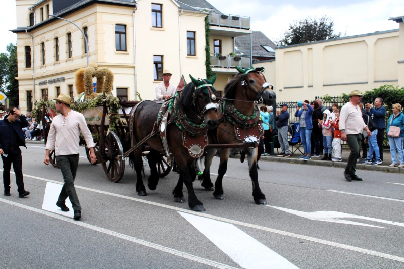 24. Sächsisches Landeserntedankfest vom 22.09. bis 24.09.2023 in Frohburg  | Eins der 53 Bilder des Festumzuges bildete die schönste sächsische Erntekrone, die Landfrauen aus Beerendorf kreierten.
