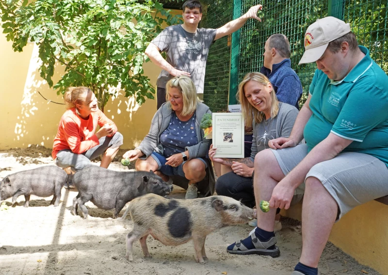 Paten für Minischwein Fritzi  | Gruppe der Altenburger Lebenshilfe übernimmt Patenschaft für eines der putzigen Borstentiere