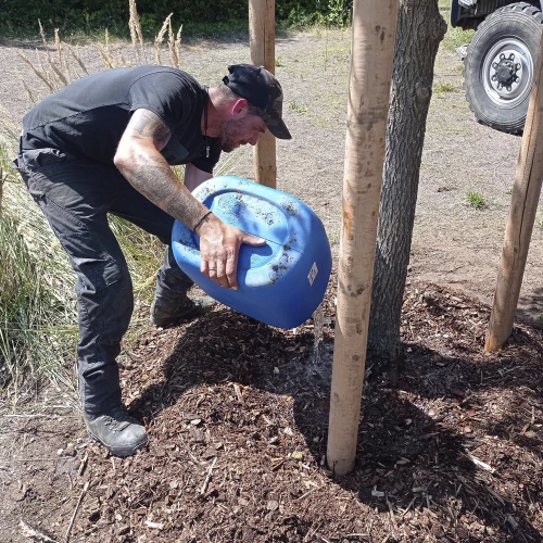 Abschließende Wassergabe und Auftragen Rindenmulch mit Gießrandanlage