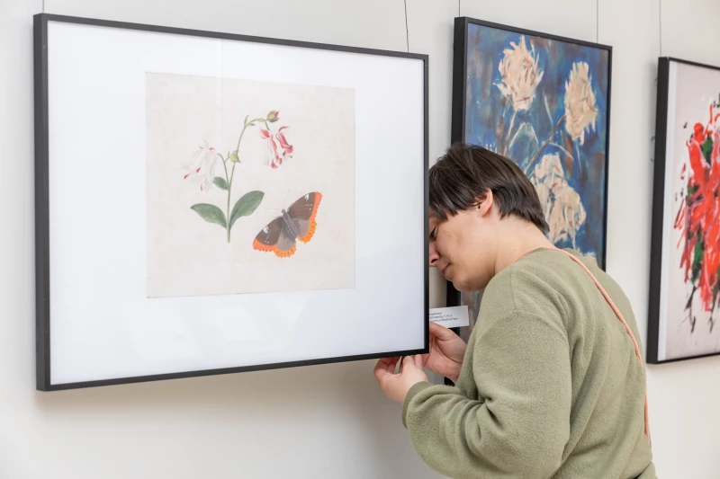 Blühendes! Malerei und Grafik aus dem Bestand des Lindenau-Museums Altenburg | Kunstvermittlerin Nora Frohmann während der Hängung der Reproduktionen, Klinikum Altenburger Land