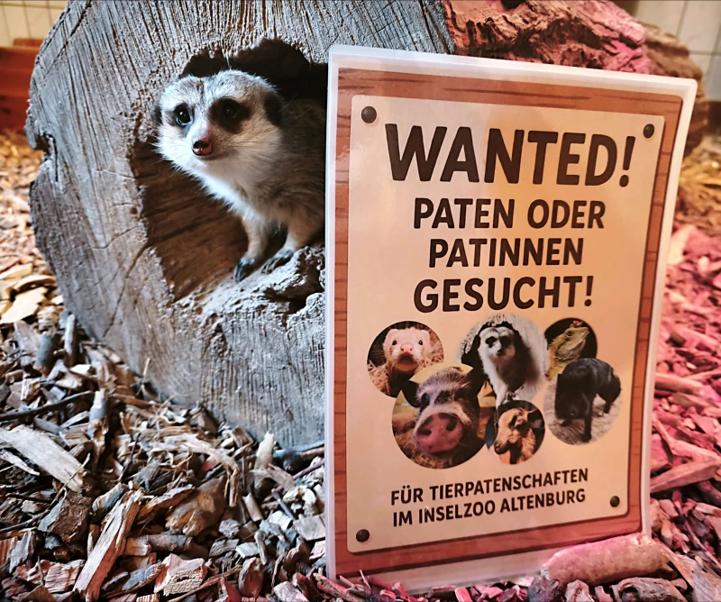 Ein besonderes Weihnachtsgeschenk: Tierpatenschaften und Jahreskarten für den Inselzoo Altenburg | Ein Geschenk mit Herz: Tierpatenschaften im Inselzoo Altenburg