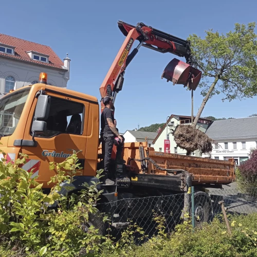 Aufladen und Transportsicherung je Baum