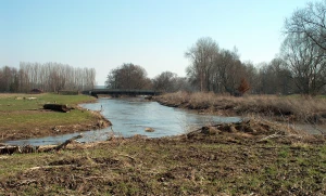 Exkursion ins Biberrevier