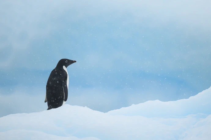 VorschauBild - Vier Wochen im Südatlantik: Bildvortrag im Klinikum Altenburger Land