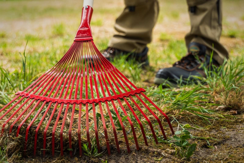 110&nbsp;Garten- und Landschaftsbauer im Altenburger Land:&nbsp;Grüne Jobs, aber rote Zahlen auf dem Lohnkonto | Sie machen die „grünen Jobs“ im Altenburger Land: „Garten- und Landschaftsbauer sind bei Wind und Wetter draußen. Dafür haben sie mehr auf dem Lohnkonto verdient – und nicht weniger. Denn die Inflation ist – um es branchentypisch zu sagen – eine gefräßige Raupe in der Lohntüte‘“, so die IG BAU.