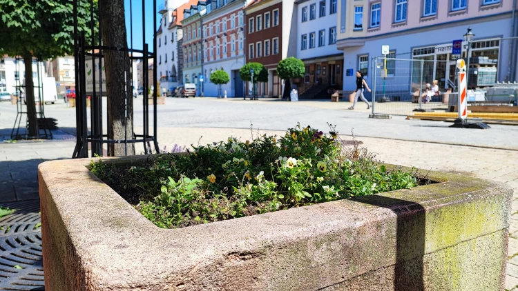 Einer der zu erneuernden Pflanzkübel auf dem Schmöllner Markt (Foto: Stadtverwaltung Schmölln)