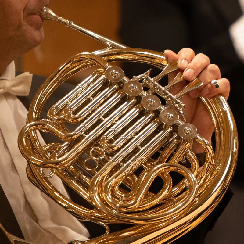 Herbstliche Kammermusik in Altenburg | Kammerkonzert