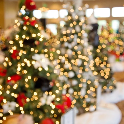 VorschauBild - Weihnachtsmarkt in Lgl.-Niederhain