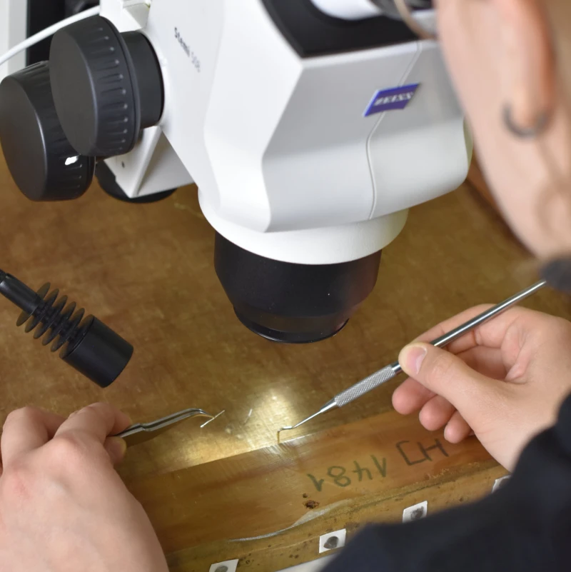 Kaffeekränzchen im Residenzschloss: Restaurierungsprojekte vorgestellt | Schließen eines Risses in den Restaurierungswerkstätten der Altenburger Museen