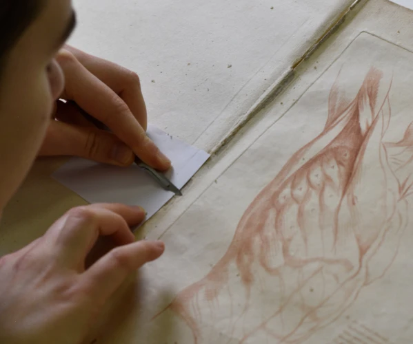 VorschauBild - Altenburger Lindenau-Museum zeigt frisch restaurierte Papierkunst