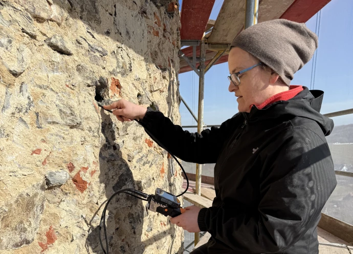 VorschauBild - Schutz der tierischen Bewohner bei der Turmsanierung der Burg Posterstein