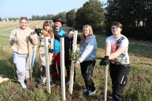 Junge Thümmeleichen gedeihen in Dobitschen