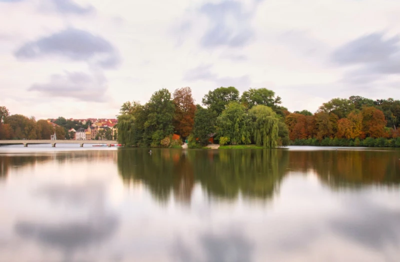 Fragebogen zum Altenburger Inselzoo kann bequem online beantwortet werden  | Großer Teich mit Inselzoo