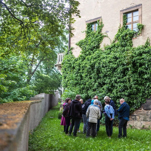 Sonntagsführung | Entlang der Zwingermauer